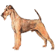 Avatars to free download for your forum or blog (7 100 avatars)