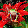 Avatars to free download for your forum or blog (7 100 avatars)
