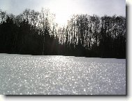 Send postcard: 479