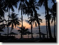 Send postcard: 640