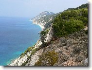 Send postcard: 1193