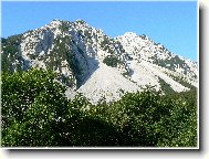 Send postcard: 1237