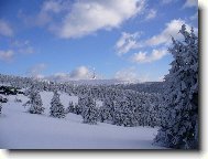 Send postcard: 1242