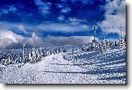 Send postcard: 1300