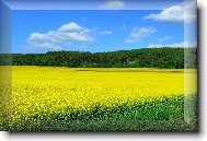 Send postcard: 3521