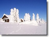 Send postcard: 419