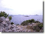 Send postcard: 444