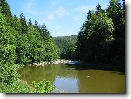 Send postcard: 449